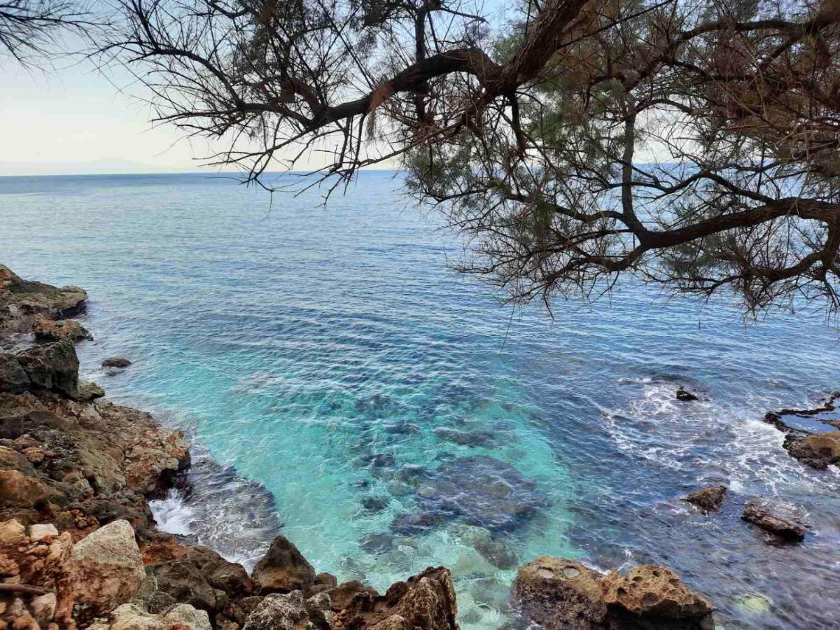 New Sea Escape Boutique Apt-Agii Aposto Li Beach Chania  Exteriör bild